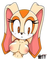 1girls anthro big_breasts breasts cream_the_rabbit darksonic250 female female_only marthedog nude sega sonic_(series)