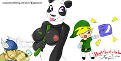 actraiser kung_fu_panda lapinstein link nintendo po rule_63 straight_hair the_legend_of_zelda