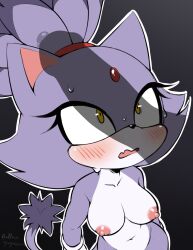 blaze the cat from sega by alluingwynhorn