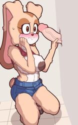 aged_up alternate_costume anthro blush brown_eyes bunny_ears cream_the_rabbit dark_nipples disembodied_penis faceless_male fur furry glory_hole humanoid_penis rabbit rabbit_humanoid short_tail shorts sitting sonic_(series) sonic_the_hedgehog_(series) tight_clothes turboranger underboob