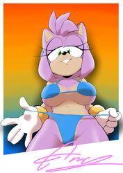 amy rose from sega by fullmetalsketch