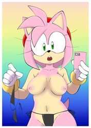 amy_rose anthro fullmetalsketch sega sonic_(series) sonic_the_hedgehog_(series) topless topless_female