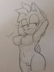 amy_rose fullmetalsketch nude nude_female sega sketch sonic_(series) sonic_the_hedgehog_(series) uncolored