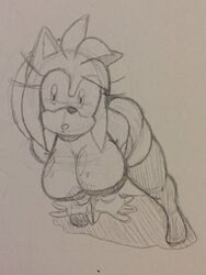 amy rose from sega by fullmetalsketch