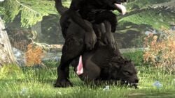 2boys anal anal_sex animated arms_crossed ass balls bethesda_softworks big_ass big_butt black_fur canine canine_penis doggy_style face_down_ass_up fangs femboy from_behind from_behind_position gay jack-o_pose knot male male_only male_penetrated male_penetrating outdoors outside penis pink_penis rayhuma skyrim source_filmmaker the_elder_scrolls thick_ass thick_thighs thighs tongue tongue_out werewolf yaoi yellow_eyes