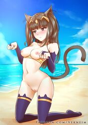 1girls ass_visible_through_thighs bangs beach black_eyes black_hair breasts catgirl fire_emblem fire_emblem_awakening frown kneeling long_hair medium_breasts naked_stockings nintendo nipples nude nude_female ocean pussy sand solo tharja_(fire_emblem) thighhighs vekneim