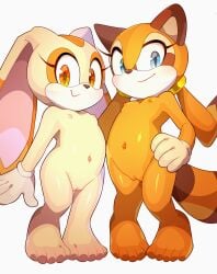 2girls anthro anthro_only bare_arms bare_breasts bare_chest bare_legs bare_midriff bare_pussy bare_shoulders bare_skin bare_thighs barefoot belly_button blue_eyes brown_eyes brown_fur bunny_ears bunny_girl cleft_of_venus closed_mouth completely_naked completely_naked_female completely_nude completely_nude_female cream_the_rabbit cub eyelashes feet female female_focus female_only flat_chest full_body furry furry_only hand_on_hip hentaib lagomorph lagomorph_humanoid marine_the_raccoon navel nipples nude nude_anthro nude_female peach_fur pussy raccoon raccoon_ears raccoon_girl sega simple_background smile sonic_(series) sonic_the_hedgehog_(series) standing toes white_background