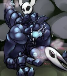 bigger_female epsi110 hollow_knight hornet_(hollow_knight) incest insect_abdomen insects maledom small_dom_big_sub smaller_male tagme vaginal_penetration vessel_(species)