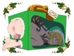 anus exposed_anus exposed_ass femboy in_a_box link link_(tears_of_the_kingdom) male presenting_anus tagme tears_of_the_kingdom the_legend_of_zelda yaoi