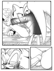 amy_rose angry_expression angry_sex anthro earts01 etzioarts01 penis pussy scourge_the_hedgehog sonic_(series)