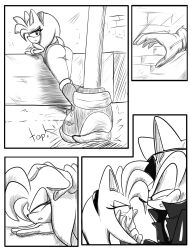 amy_rose angry anthro ass earts01 etzioarts01 pussy scourge_the_hedgehog sonic_(series) vagina