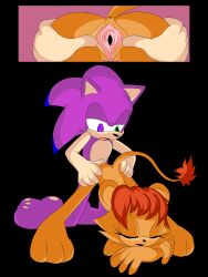 furry j_nsfw original_character sonic_(series) tagme