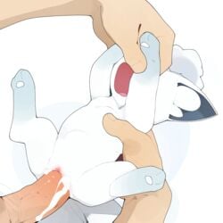 1:1 1girls abdominal_bulge age_difference alolan_vulpix bestiality bodily_fluids clitoris cocksleeve cub cum cum_drip cum_from_pussy cum_in_pussy cum_inside cum_leaking cum_on_own_penis cum_on_penis cum_on_self cum_overflow deep_penetration dripping_cum duo female female_penetrated feral feral_penetrated fleshlight fleshlight_position genital_fluids genitals hi_res holding_partner holding_paws human human_on_feral human_penetrating human_penetrating_feral interspecies kemono large_penetration large_penis living_fleshlight living_sex_toy male male/female male_human/female_feral male_human/female_pokemon male_on_feral male_penetrating male_penetrating_female mammal newborn nintendo overflow overflowing_cum pawpads paws penetration penis penis_in_pussy poképhilia pokemon pokemon_(species) pussy questionable_consent raised_paw rape regional_form_(pokémon) restrained simple_background size_difference spread_legs spreading stomach_bulge torso_grab vaginal vaginal_penetration vaginal_sex video_games vulpix white_background youjomodoki young younger_female zoophilia