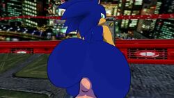 2boys 3d animated big_ass big_balls big_butt big_dom_small_sub big_penis blender femboy gay gay_domination gloves hedgehog human human_on_anthro humanoid_penis mp4 no_sound praisebooty sonic_(series) sonic_the_hedgehog source_filmmaker thick_ass video yaoi