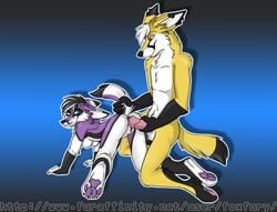 all_fours anthro averious blue_eyes canine female fennec fox fur furry grin insertion male penetration piercing prodding purple_fur pussy red_eyes smile straight tail_grab tail_pull teasing vaginal_penetration