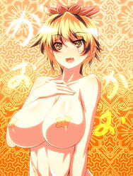 tagme toramaru_shou touhou