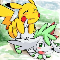 blush chesnut_(artist) closed_eyes from_behind furry green_eyes lowres nintendo no_humans open_mouth panting pikachu pokémon_(species) pokemon pokemon_(species) pokemon_dppt pokemon_rgby shaymin shaymin_(sky_form) white_fur yellow_fur