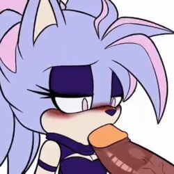 animated blowjob blush crimsontagger fan_character gif kandy_the_hedgehog mobian_(species) purple_fur sonic_(series) sucking sucking_penis tastikandy