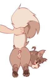 cum_in_ass faceless_male furry human_hands human_on_anthro implied_sex presenting presenting_balls squirrel squirrel_lee_(oc) tail tail_tuft