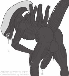 1boy 2011 alien alien_(franchise) anthro anus ass backsack balls bent_over big_balls big_penis black_anus black_penis black_skin cum drooling erection h.r._giger hands_on_knees huge_balls huge_cock humanoid_penis looking_at_viewer looking_back male male_only male_xenomorph nude pencil_(artwork) penis perineal_raphe plain_background precum precum_drip presenting presenting_anus presenting_hindquarters presenting_penis raised_tail rezanith saliva salivating sharp_teeth solo teeth traditional_media_(artwork) victoria_viper white_background xenomorph