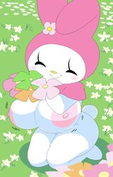 Breasts Rule 34 Image