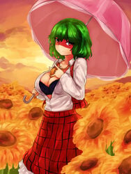 1girls absurd_res busty curvy female green_hair highres steamingtofu touhou yuka_kazami