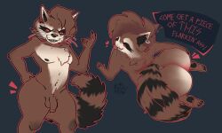 rocket raccoon from guardians of the galaxy by pookibearnsfw