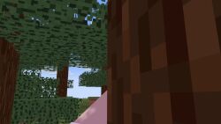 animated cum_inside double_penetration horsecock inflation minecraft ovaa_novaa portal portal_sex stomach_bulge tagme vaginal_penetration video