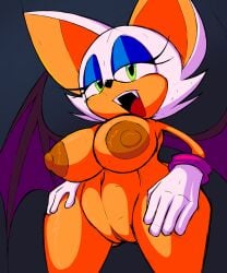 alternate_version_available anthro big_breasts big_thighs female fur furry furry_ears furry_only furry_tail mobian_(species) naked rouge_the_bat sega shaved_pussy sonic_(series) sonic_adventure_2 sonic_the_hedgehog_(series) standing