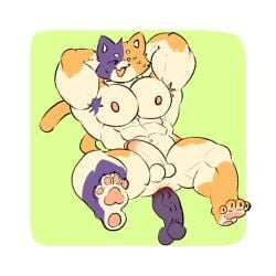 animated animation anus ass bara bara_ass cute daddy dick dildo feet feline fetish furry furry_male gay male meowscles_(fortnite) muscles paws pecs penis soles solo