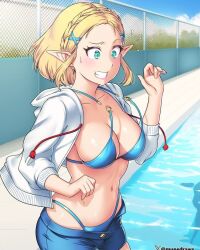 princess zelda from tears of the kingdom by etchimune