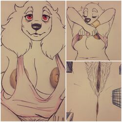 anthro breasts bredlaybagordh domestic_dog female fur pubic_hair tank_top tank_top_lift