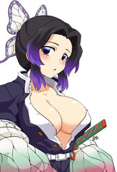 kochou shinobu from demon slayer