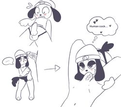 balls black_ears blowjob blush bulge canid canine_penis disembodied_penis embarrassed gay looking_at_partner looking_at_penis male_penetrated male_penetrating malesub parappa parappa_the_rapper tail underwear veiny_penis white_background