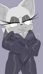 rouge the bat from sonic (series)