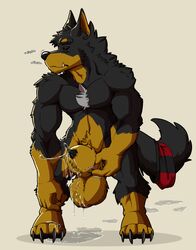 1boy animal_genitalia animal_penis anthro balls beauceron big_balls big_sheath black_body black_fur black_nose black_sclera bodily_fluids brown_body brown_fur canid canine canine_penis canis claws clothing doggieo doggieo_(character) domestic_dog dripping excessive_precum finger_claws fur genital_fluids genitals herding_dog hi_res leaking_precum male male_only mammal multicolored_body multicolored_fur muscular muscular_anthro muscular_male pastoral_dog penis penis_tip precum precum_drip precum_on_balls precum_on_ground precum_on_sheath scratching sheath sniffing solo toe_claws two_tone_body two_tone_fur underwear underwear_around_tail underwere_(doggieo) were werecanid werecanine weredog