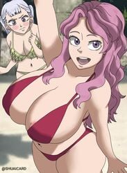 2girls adult areola areola_slip arms_up beach big_breasts bikini bikini_bottom bikini_top black_clover blush breasts child_bearing_hips earring embarrassed female female_only flustered front_view hourglass_figure large_breasts long_hair looking_at_viewer multiple_girls navel noelle_silva open_mouth partially_clothed pink_hair public purple_eyes shuaicard side_boob silver_hair smile teenager thick_thighs thighs two_piece_swimsuit vanessa_enoteca watermark waving wide_hips