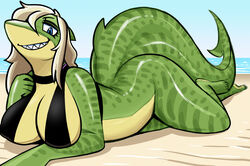 anthro beach bikini blue_eyes breasts eyelashes female female_only green_skin grey_body lizard looking_at_viewer pinup reptile shark shark_girl shark_tail shark_teeth sharp_teeth shyguy9 smile smiling smiling_at_viewer teasing teasing_viewer thick_thighs thighs yellow_hair