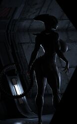 3d 3d_(artwork) alien alien_girl big_breasts creature digital_media_(artwork) female female_xenomorph humanoid large_ass metal_01 monster monster_girl muscular naked no_humans nude standing tail xenomorph