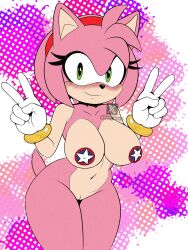 amy rose from sega by genyacero