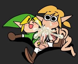 link from breath of the wild by pervypocket
