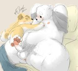 anthro ass balls bear black_nose blush canine chubby clothing embrace foot_fetish fur furry hindpaw humanoid_penis kemono male male_only mammal navel nipples open_mouth pawpads paws penis pillow polar_bear pubes raised_shirt shirt size_difference stevenlew sweat white_fur