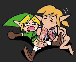 link from breath of the wild by pervypocket
