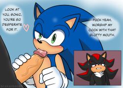 shadow the hedgehog from sega by brokenbone