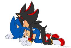 shadow the hedgehog from sega by brokenbone
