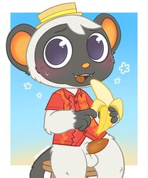 1boy aloha_shirt animal_crossing anthro balls banana blush bodily_fluids bottomless clothed clothing eggmink erection fangs food fruit furniture genitals haplorhine hat headgear headwear hi_res lemur looking_at_viewer male male_only mammal monkey niko_(animal_crossing) nintendo open_mouth pattern_clothing pattern_shirt pattern_topwear peeling penis plant primate shirt sitting sitting_on_stool smile solo stool strepsirrhine sweat sweatdrop tapering_penis topwear video_games