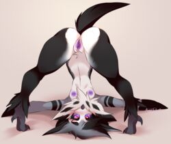 anthro ass ass_up avian beak bird black_body breasts bunnywhiskerz female furry furry_only genitals nipples nude owl pussy solo