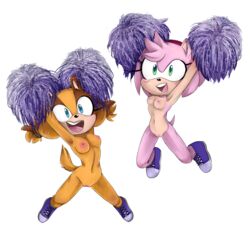 amy rose from sega