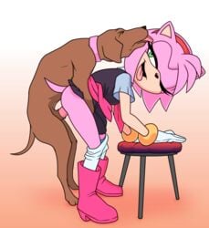 amy_rose anon0567 anthro anthro_on_feral canine clothed_sex clothing hedgehog looking_pleasured sonic_(series) sonic_the_hedgehog_(series) sonic_x standing_sex zoophilia