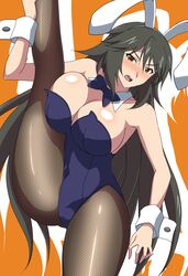 orimura chifuyu from infinite stratos